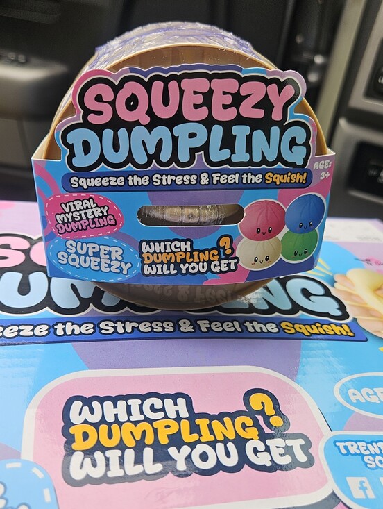 Other - Viral Mystery Dumpling - Unopened